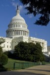 TheCapitol