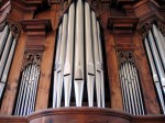 organ